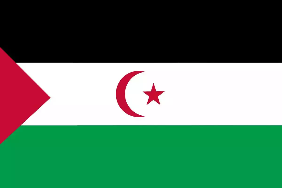 Bandera de Saharaui