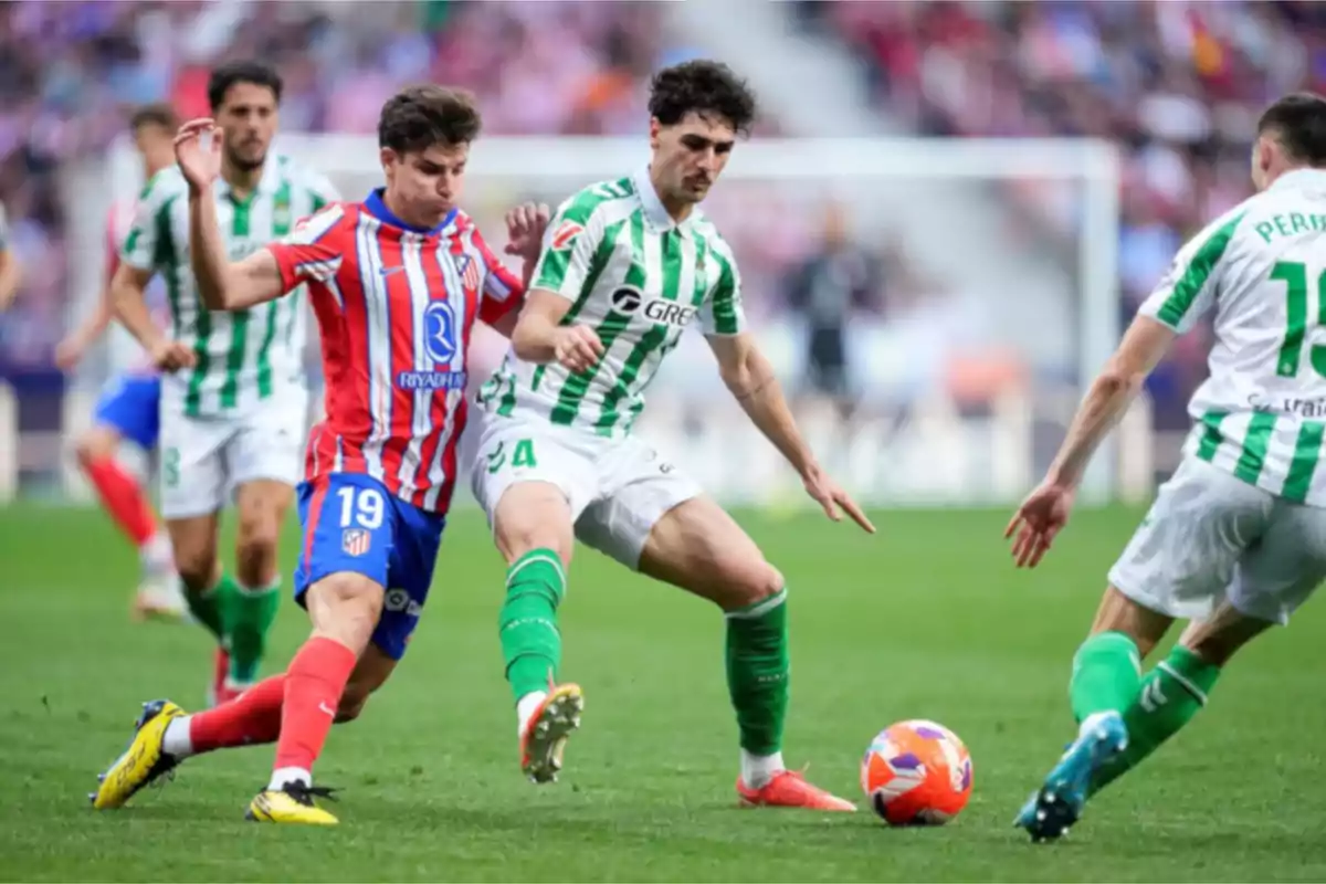 Johny Cardoso se va Johny Cardoso se va