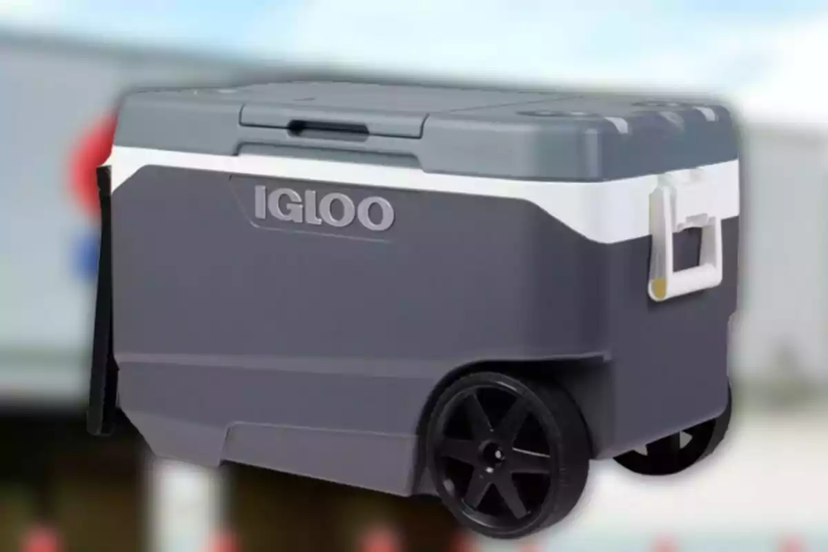 Hielera portátil gris con ruedas y asa de la marca Igloo Hielera portátil gris con ruedas y asa de la marca Igloo