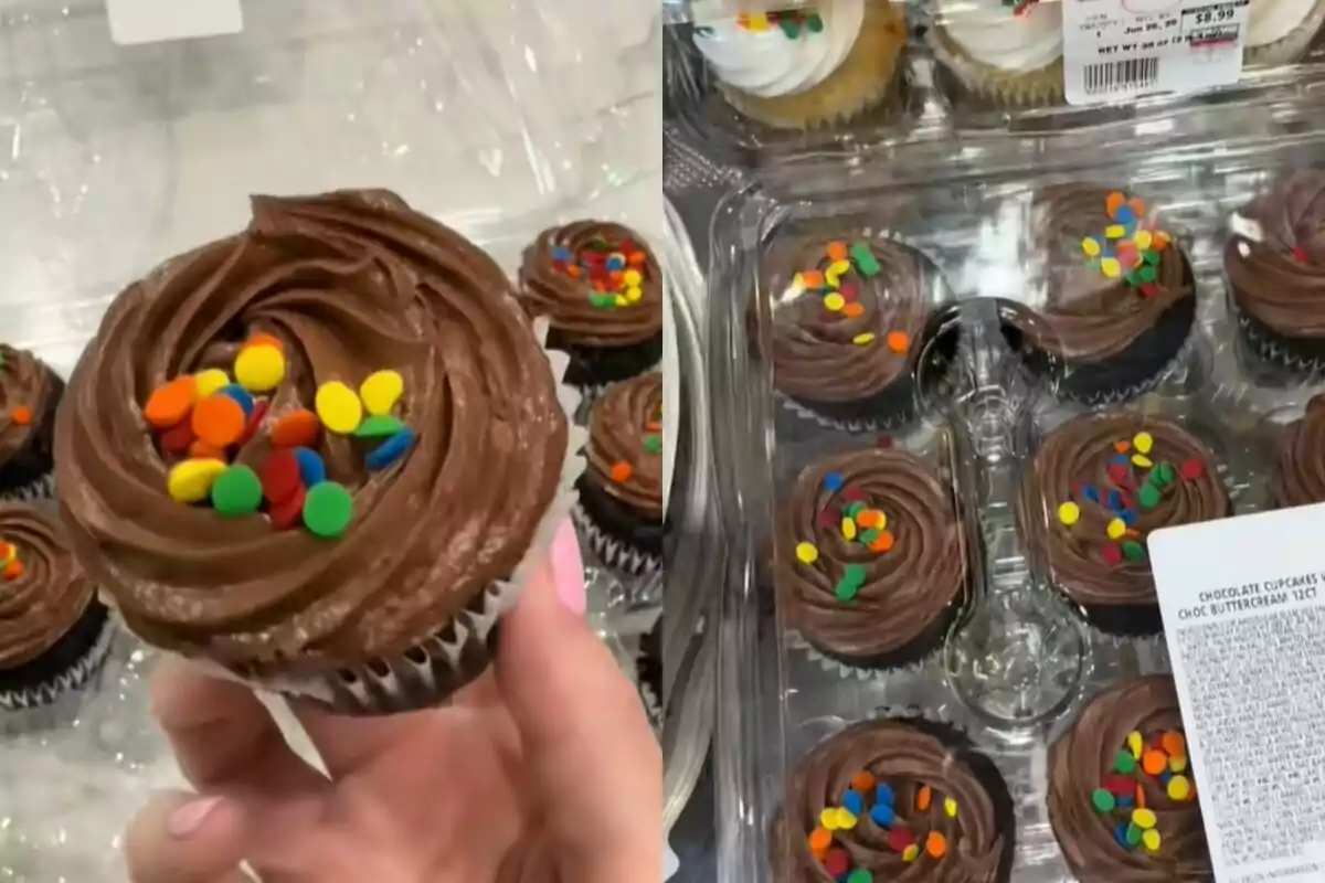 Chocolate cupcakes with frosting and colorful sprinkles in a plastic container, one of them held by a hand. Chocolate cupcakes with frosting and colorful sprinkles in a plastic container, one of them held by a hand.