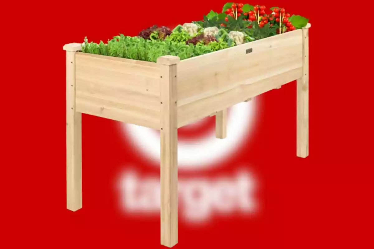 Wooden raised garden bed with plants and vegetables against a red background Wooden raised garden bed with plants and vegetables against a red background