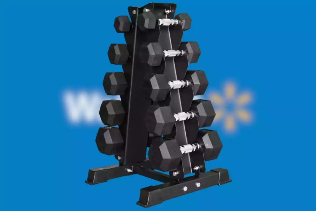 Set of black hexagonal dumbbells organized on a metal rack against a blue background Set of black hexagonal dumbbells organized on a metal rack against a blue background