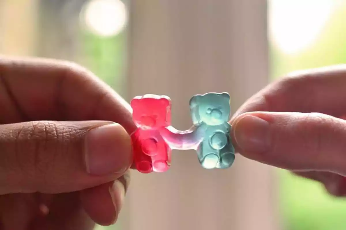Dos manos sostienen ositos de gomita unidos por los brazos uno rojo y otro azul Dos manos sostienen ositos de gomita unidos por los brazos uno rojo y otro azul