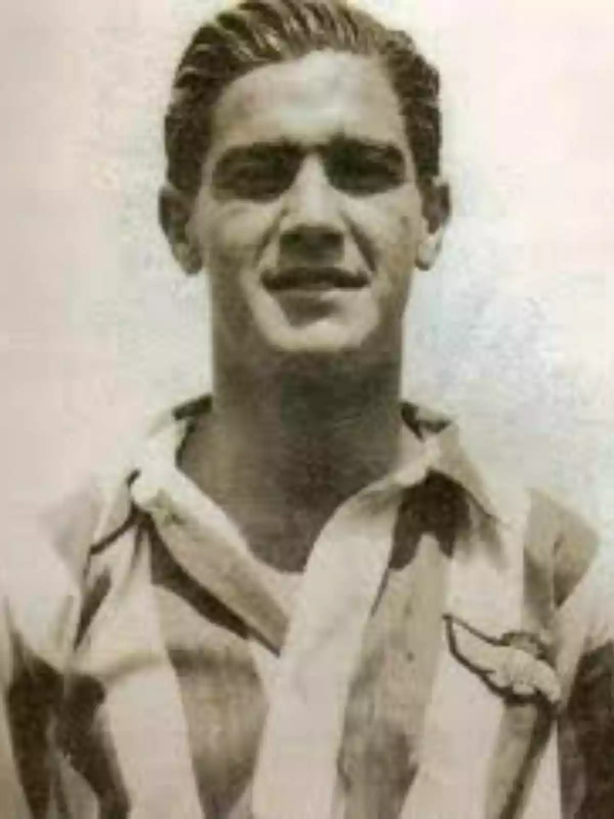 A young man with slicked-back hair, wearing a vertically striped t-shirt and an emblem on his chest. A young man with slicked-back hair, wearing a vertically striped t-shirt and an emblem on his chest.