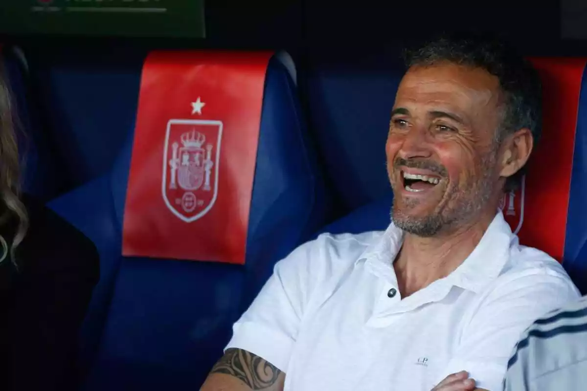 Luis Enrique feliz en el banquillo de la Selección Española