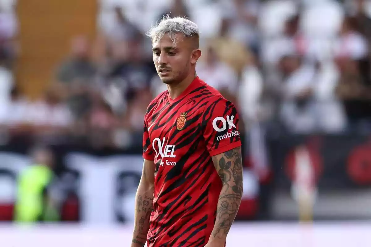 Pablo Maffeo con la camiseta del Mallorca