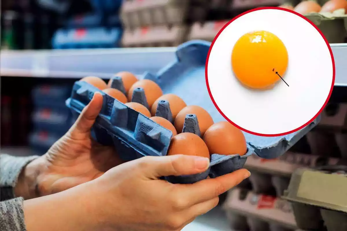 Montaje con persona sujetando una huevera en un supermercado y círculo rojo con yema de huevo con puntito rojo