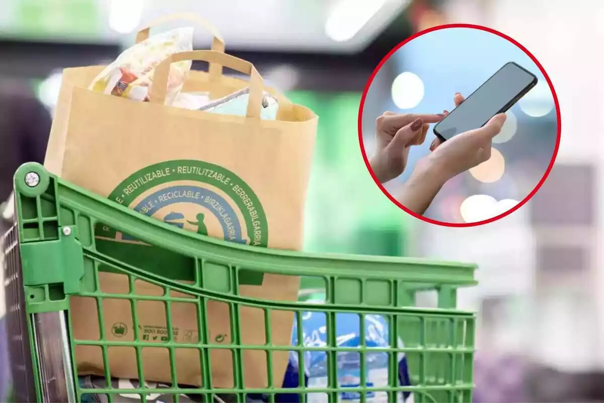 Montaje con carrito de la compra y bolsa de Mercadona y círculo rojo con manos sujetando teléfono móvil