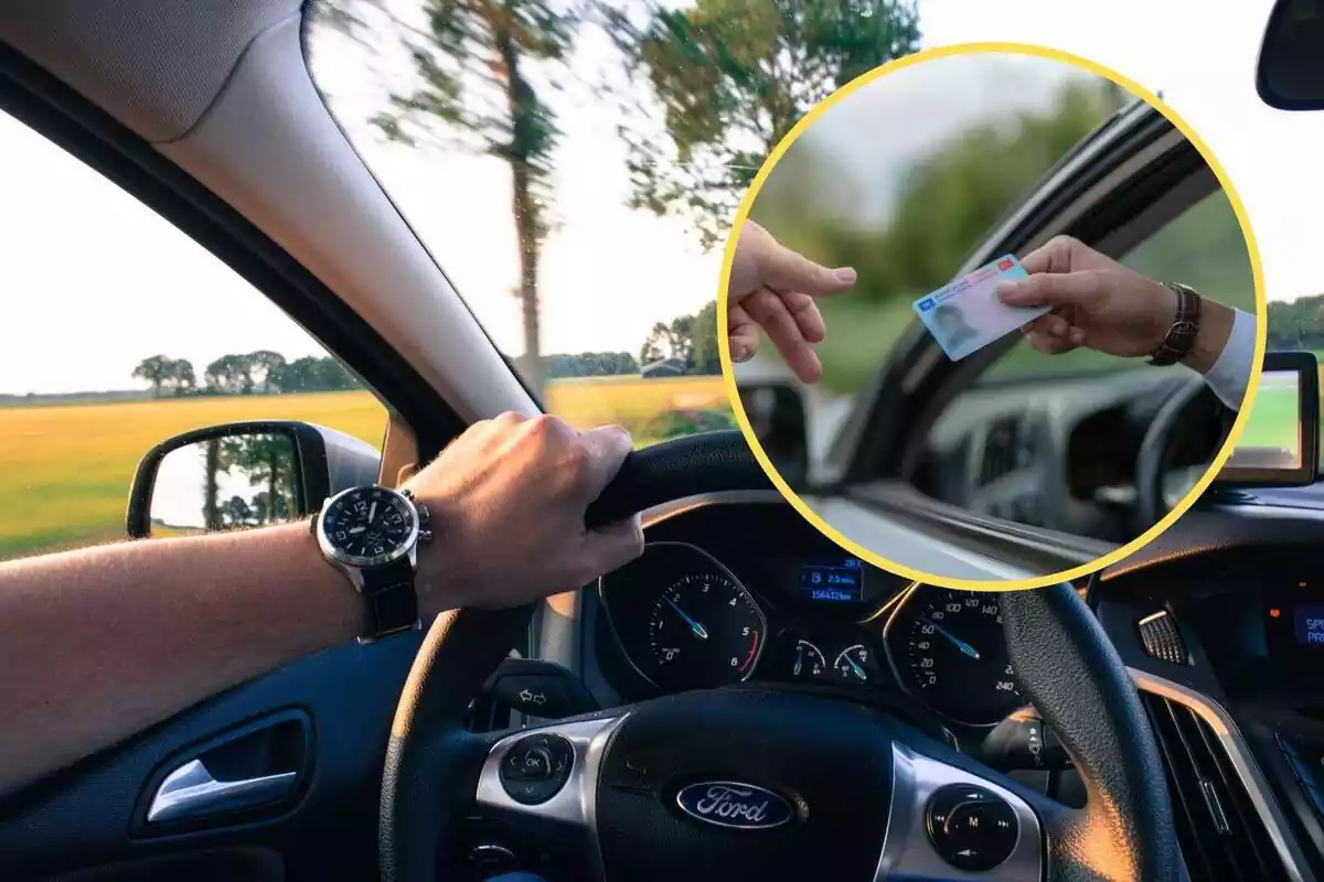 Montaje con persona conduciendo al volante y permiso de conducir Montaje con persona conduciendo al volante y permiso de conducir