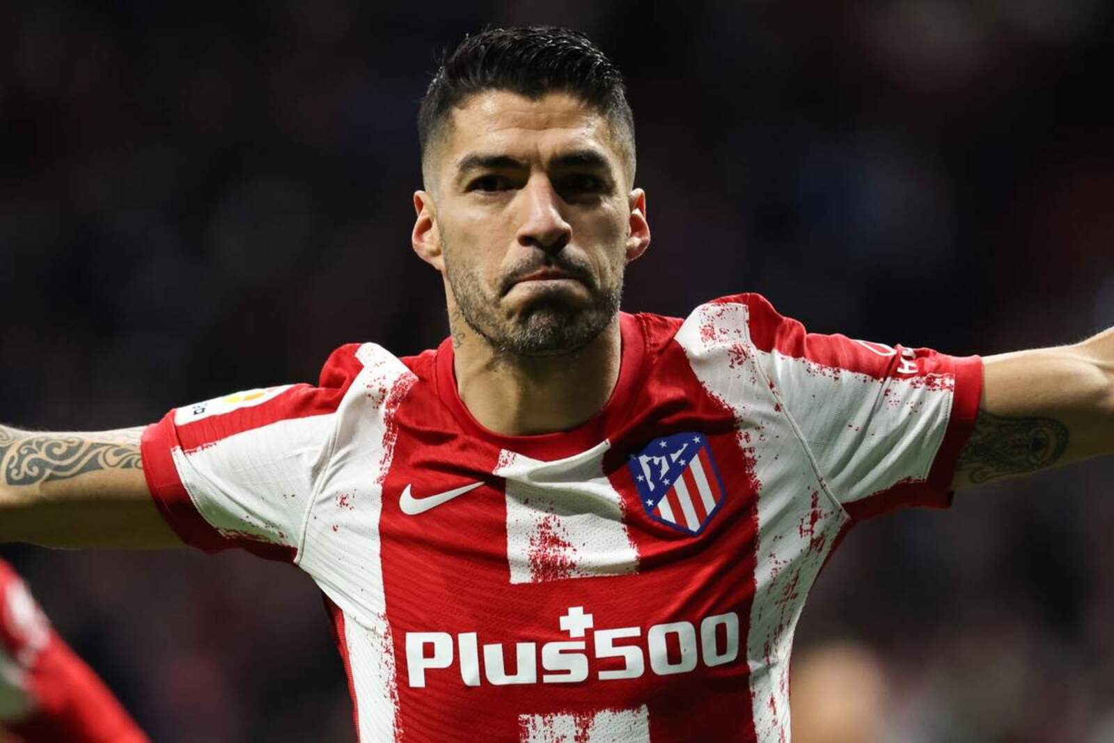 Luis Suárez, un ídolo en el Atlético